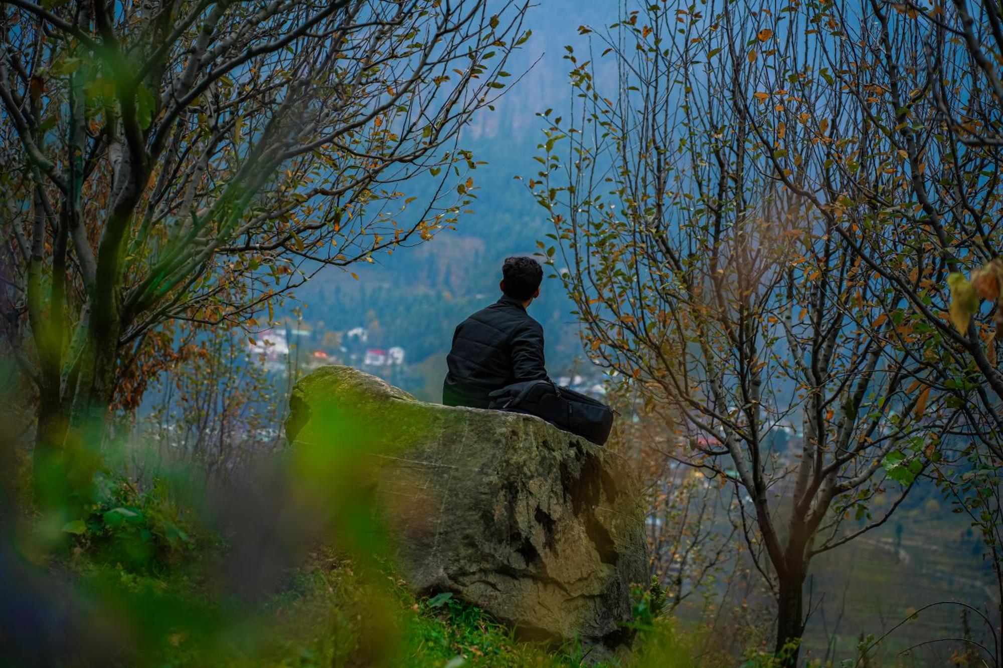 Yaarana Stay & Cafe, Vashisht, Manali Dış mekan fotoğraf